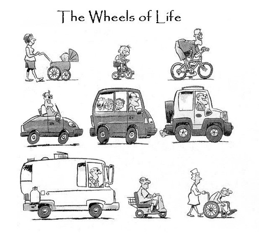 wheels of life infographic