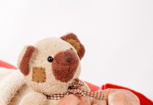 SLM Talks to Teddy Bears Helping Seniors scaled