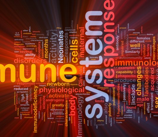 SLM Immune System scaled