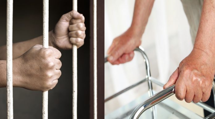 Prison and long term care scaled
