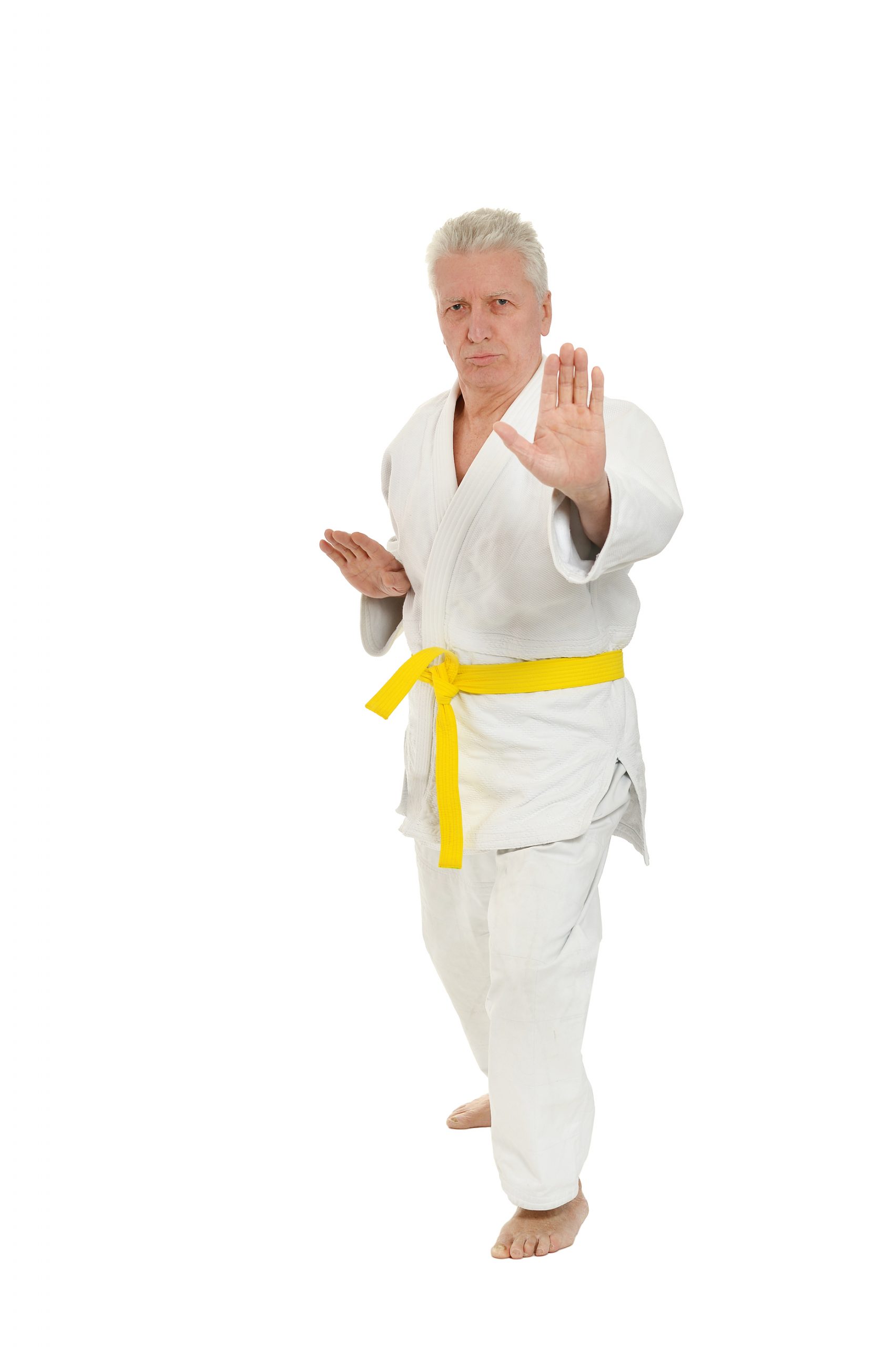 Young Man In A Martial Arts Pose With A Black Belt Stock Photo - Download  Image Now - Karate, Kung Fu, Men - iStock