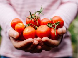 Summer Harvest Recipes bigstockFarmersHandsWithFreshlyHarscaled