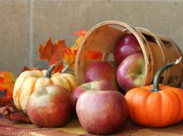 Autumn Harvest Recipes autumn