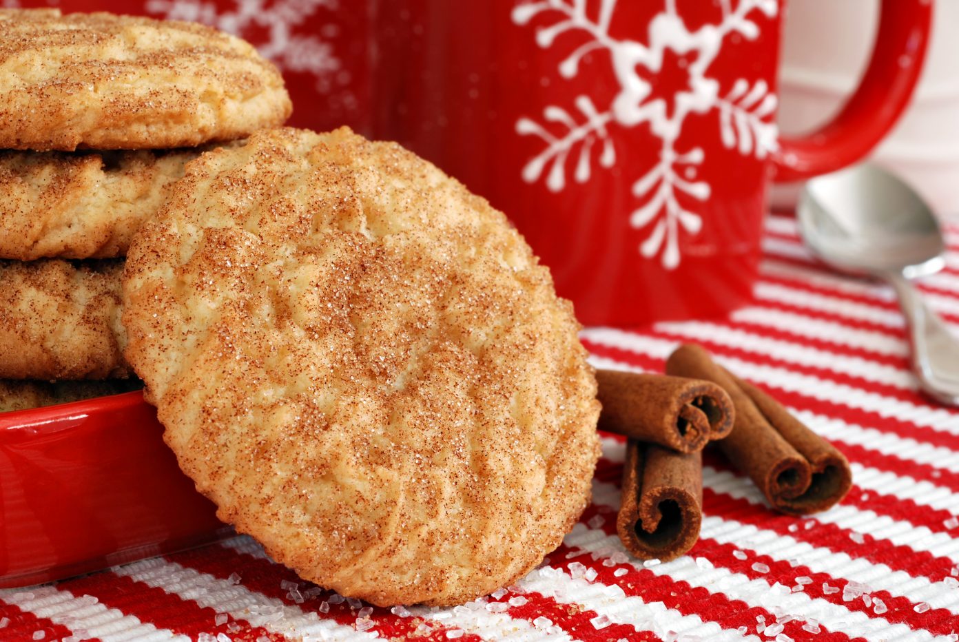 Просто кухня печенье. Сникердудл. Biscotti печенье с корицей. Печенье Сникердудль ароматизатор. Biscotti печенье с корицей красное.