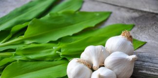 Benefits of Garlic scaled