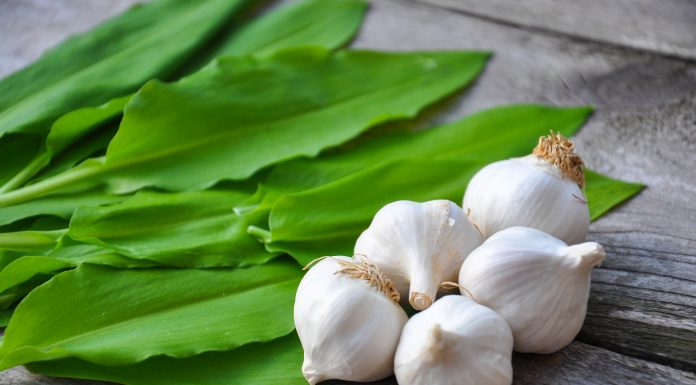 Benefits of Garlic scaled