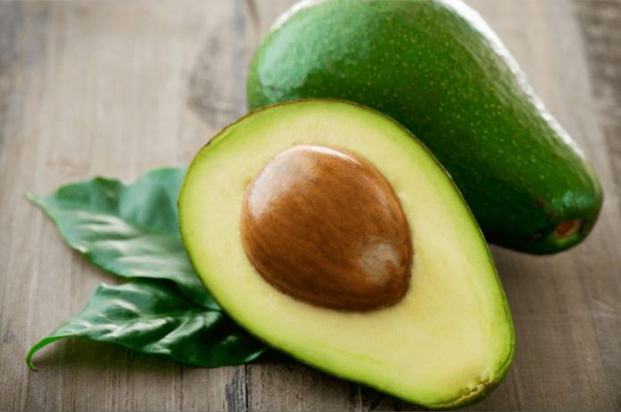 avocado header