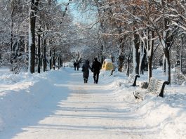 Travel in Winter scaled