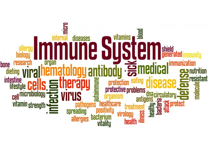 immune system scaled