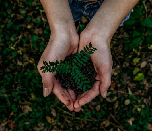 noah buscher 1162202 unsplash scaled
