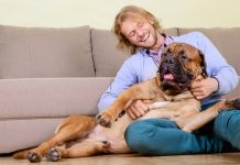 big dog