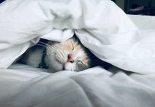 kate stone matheson uy5t CJuIK4 unsplash 1 scaled