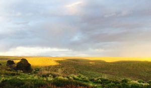 Seniors Lifestyle Magazine Talks To The Ancient Appeal Of Mesa Verde