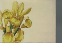 The Global Migrations of Ornamental Plants