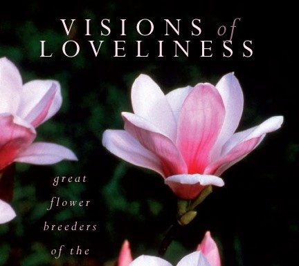Visions of Loveliness 4th book cover 1