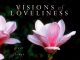 Visions of Loveliness 4th book cover 1