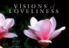 Visions of Loveliness 4th book cover