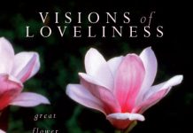 Visions of Loveliness 4th book cover