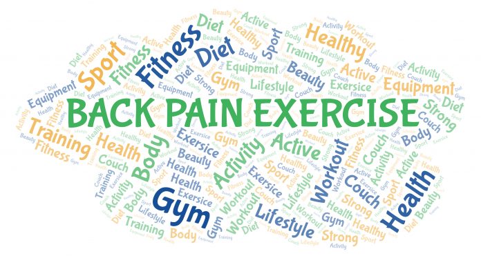 back pain exercises article scaled