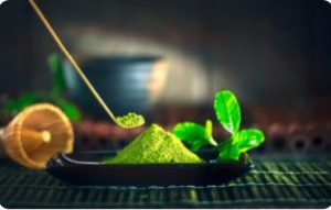 Seniors Lifestyle Magazine Talks To Benefits & Uses Of Matcha Green Tea