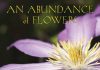 An Abundance 5th book cover Judith Taylor 1