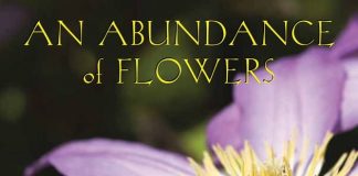 An Abundance 5th book cover Judith Taylor 1