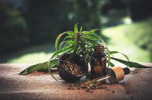 Seniors Lifestyle Magazine Talks To Cannabis Facts