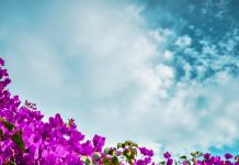 gerardo gutierrez fI0BiKiHF0E unsplash scaled