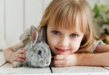 pet ownership
