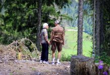 walkinthewoods
