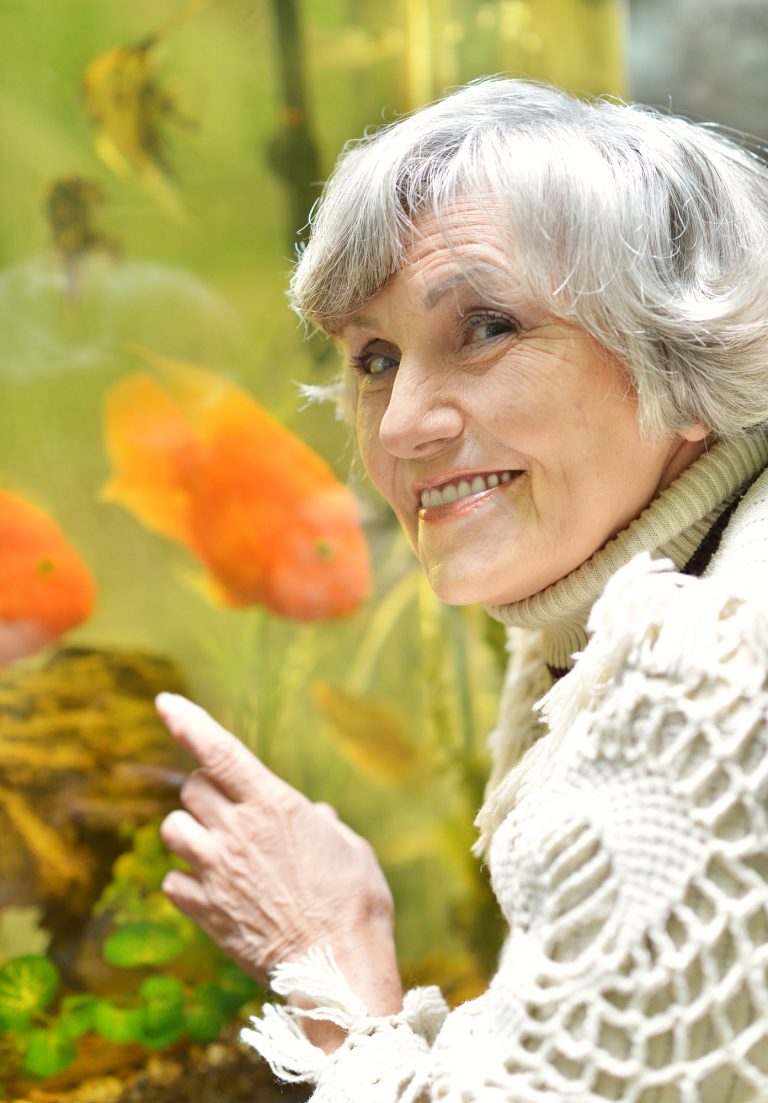 Why Fish Make Great Pets for Seniors Why Fish Make Great Pets for Seniors