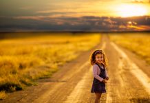 pexels andre melcher 1006363 scaled