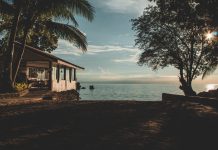 pexels kenneth carpina 2468773
