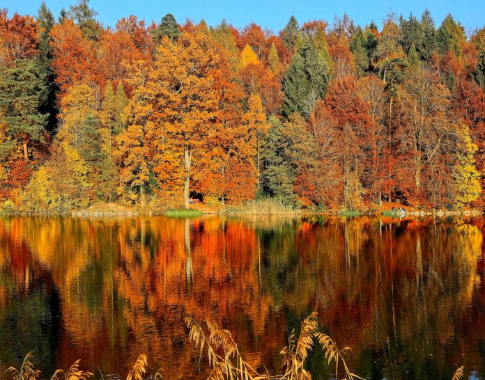 Autumn Travel Ideas for Seniors