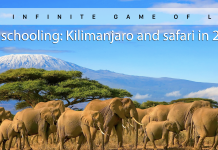 Travel to Africa