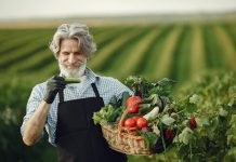 cognitive health