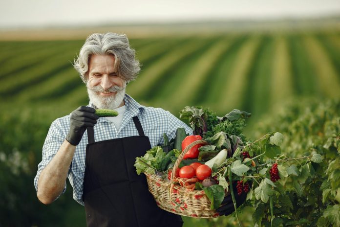 cognitive health