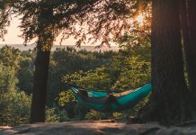 nature based therapies
