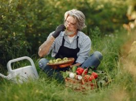 Healthy Eating After 60: Nutrients Your Body Needs More as You Age seniorslifestylemag